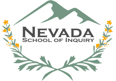 NVSI logo